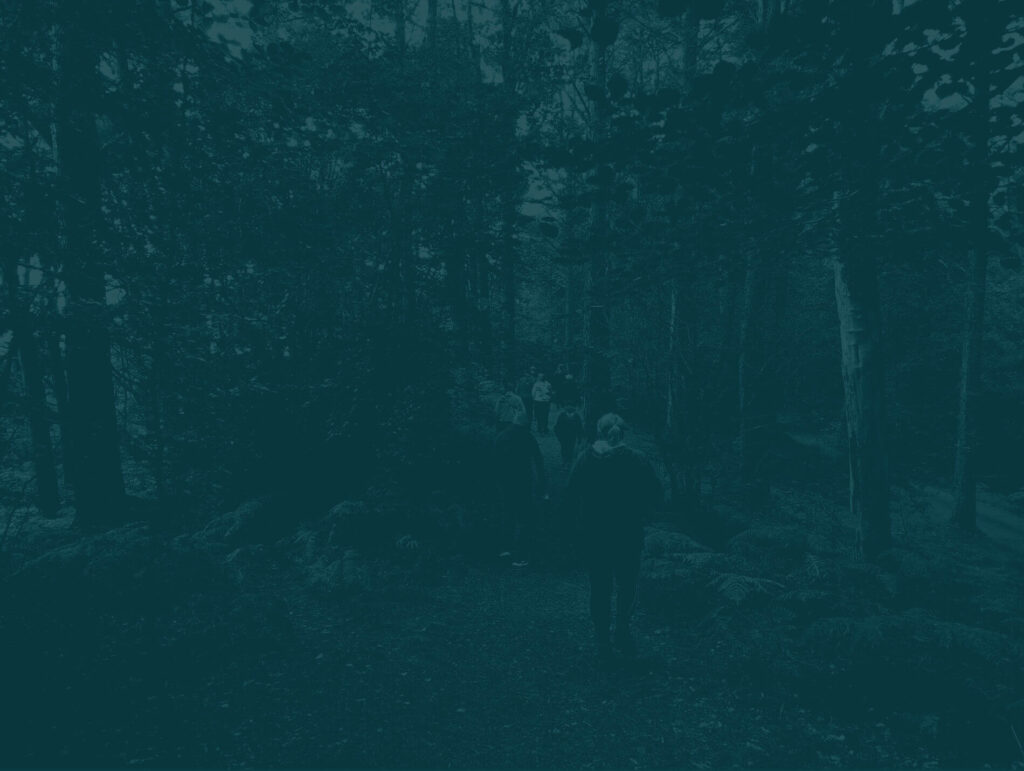 Faded image of people walking in a forest