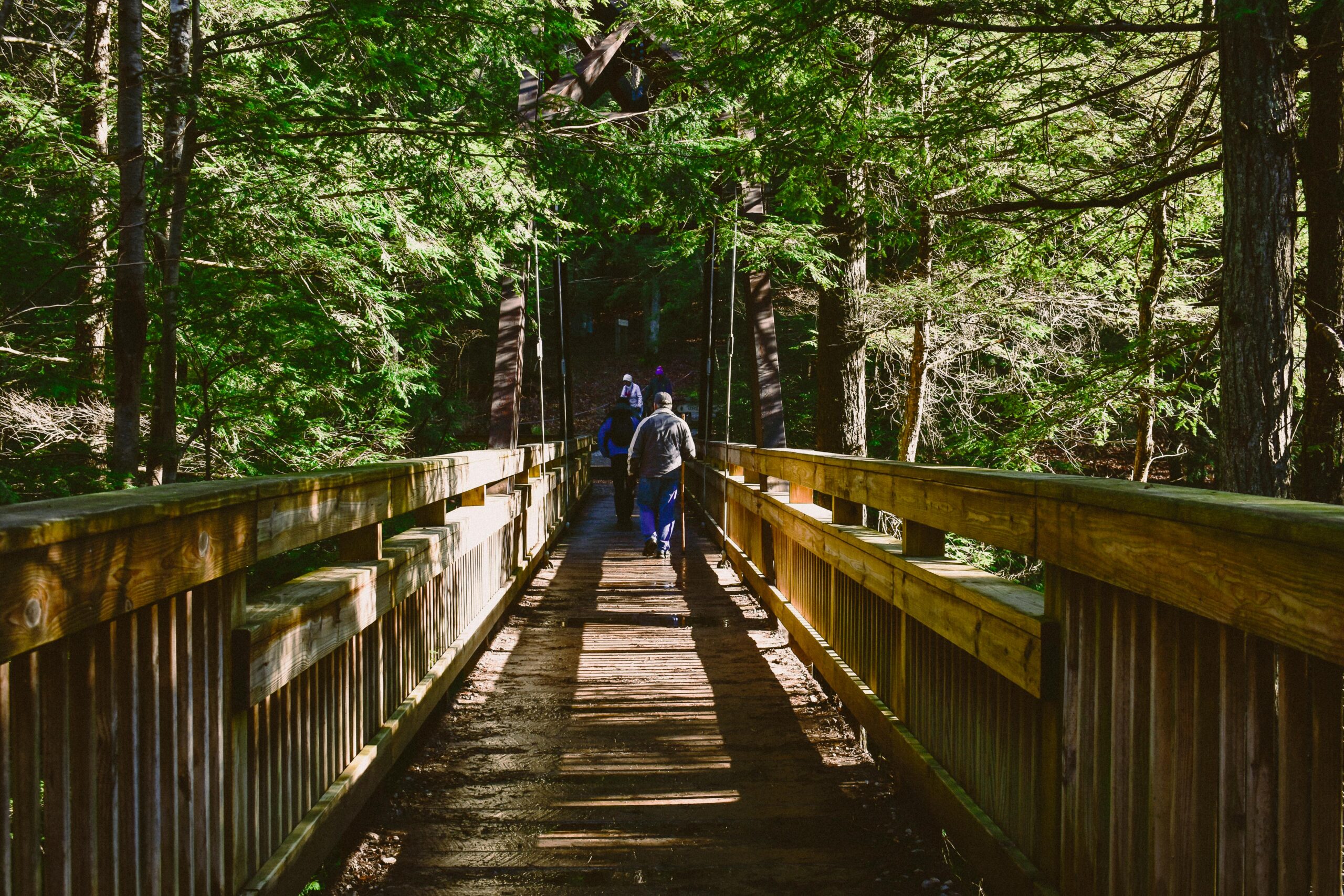 Someone walking in the woods